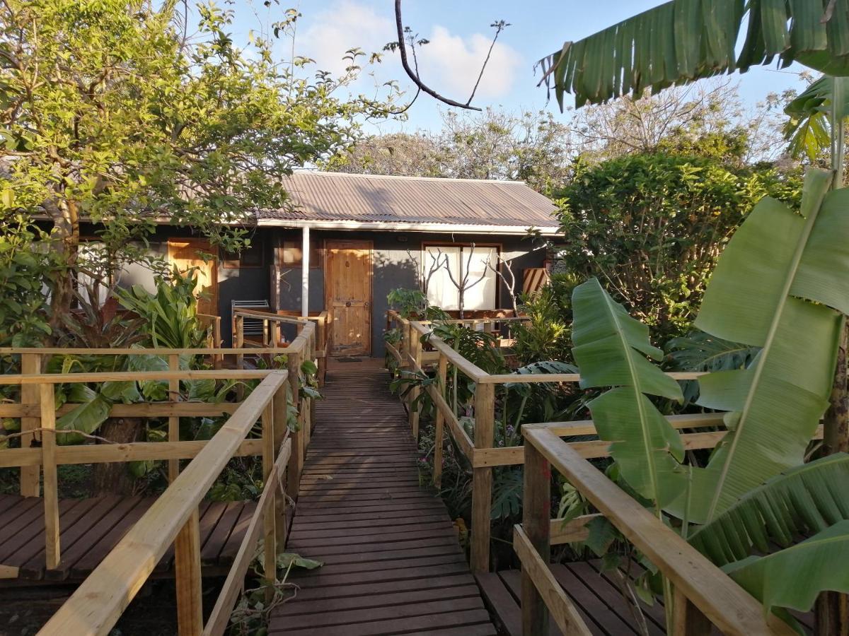 Tuava Lodge 汉格罗阿 外观 照片