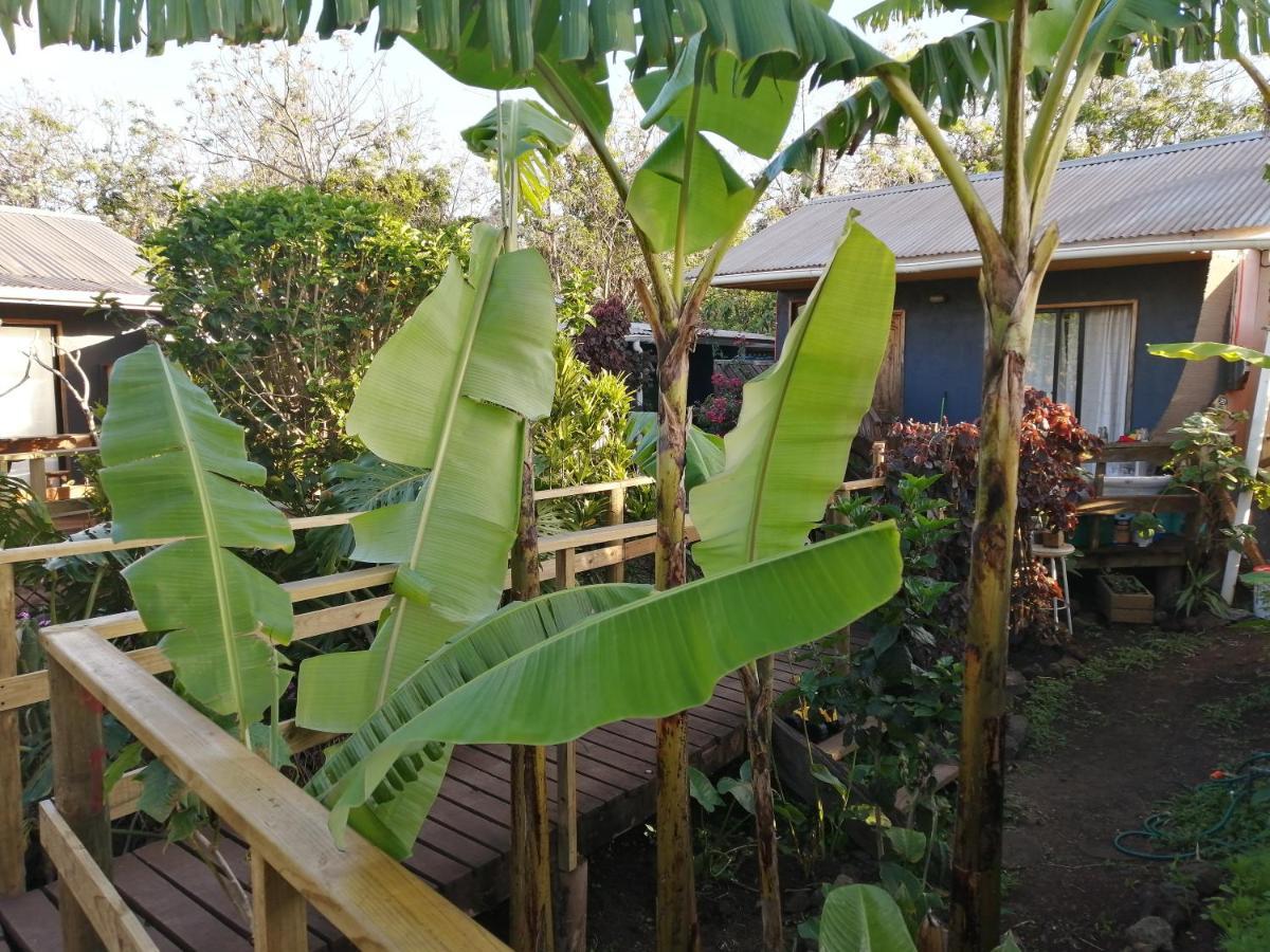 Tuava Lodge 汉格罗阿 外观 照片