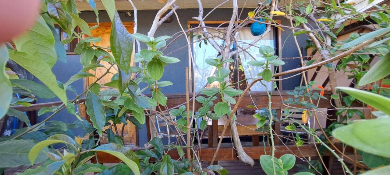 Tuava Lodge 汉格罗阿 外观 照片