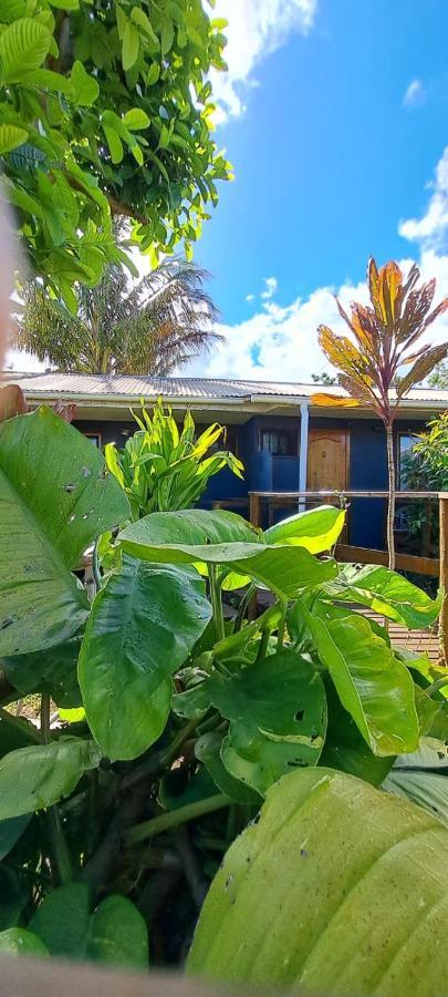 Tuava Lodge 汉格罗阿 外观 照片