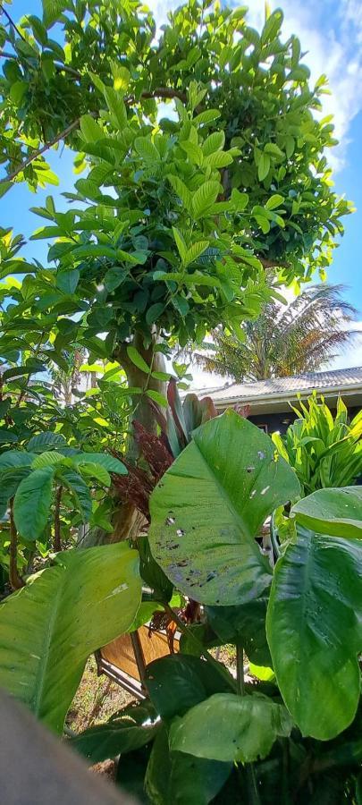 Tuava Lodge 汉格罗阿 外观 照片